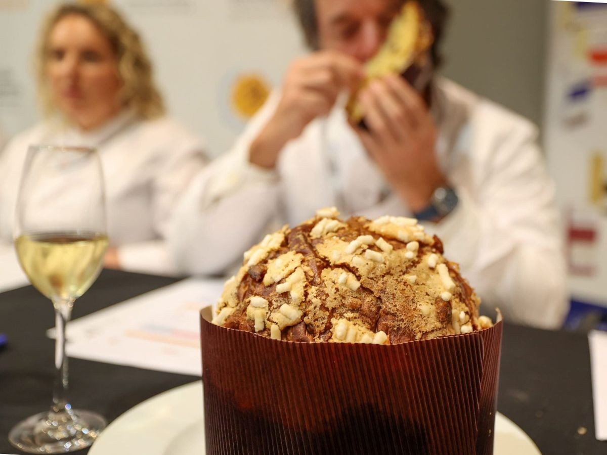 IX Concurs Millor Panettone d'Espanya 2024.