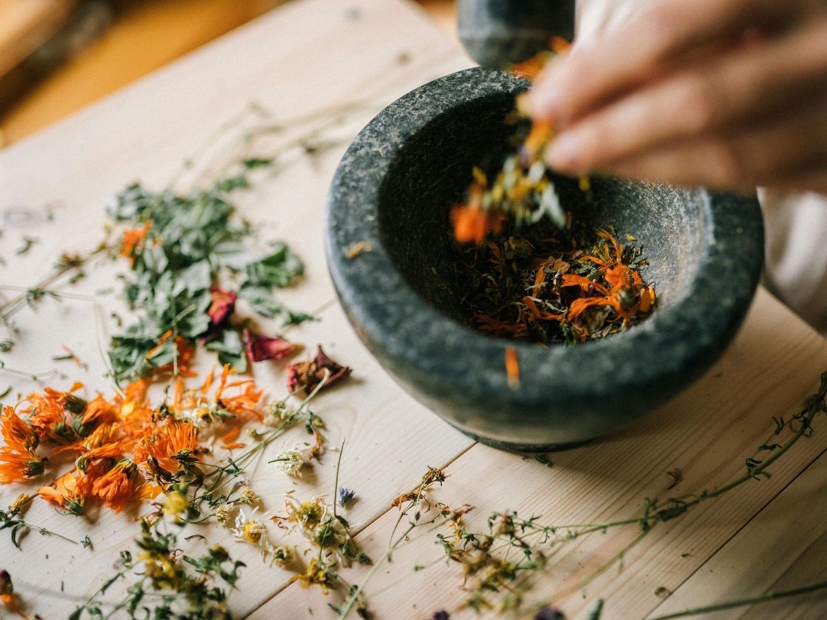 Herbes remeieres.