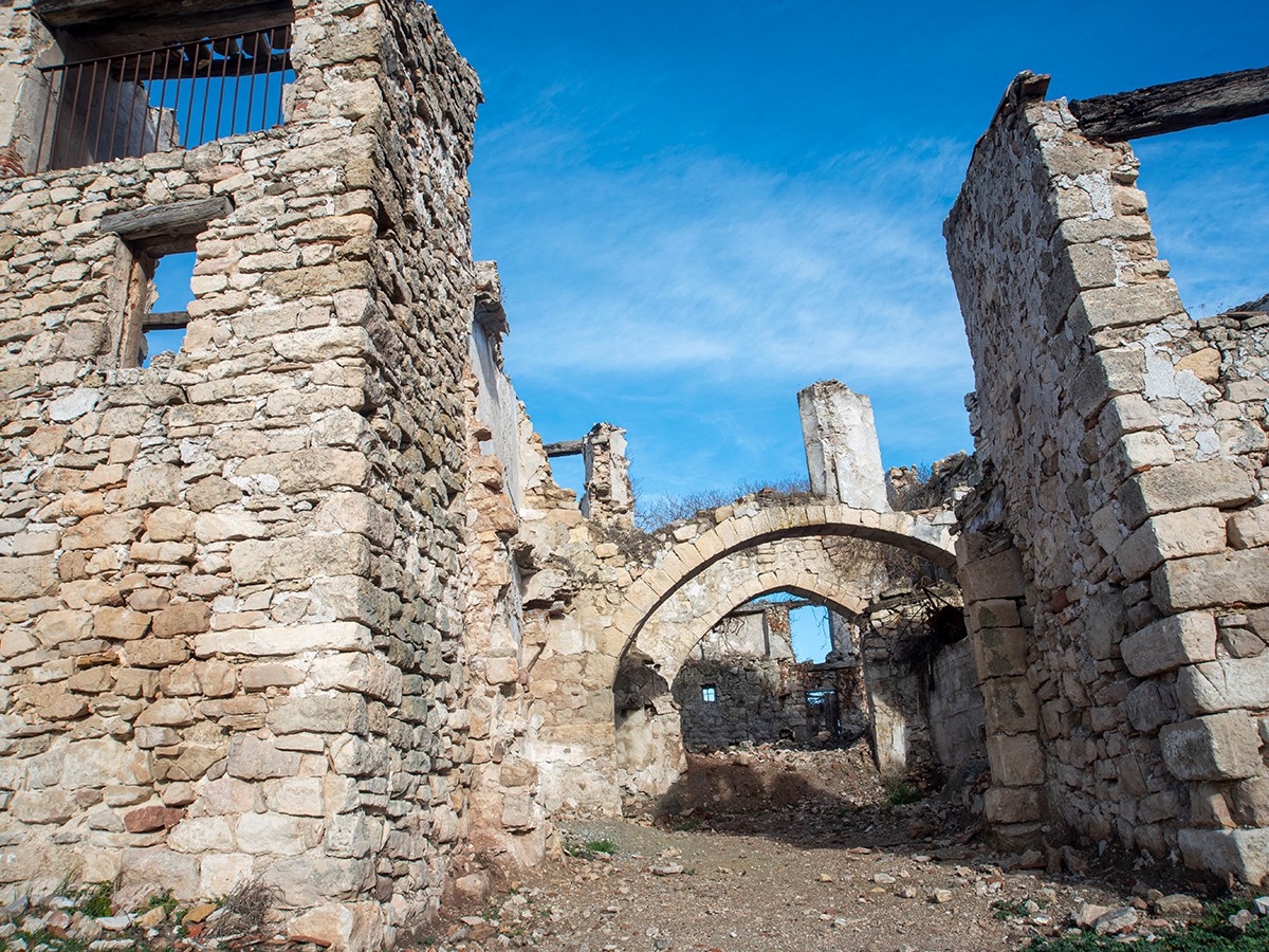 Vinya i biodiversitat per tornar la vida a Gallicant Gastrotalkers.cat